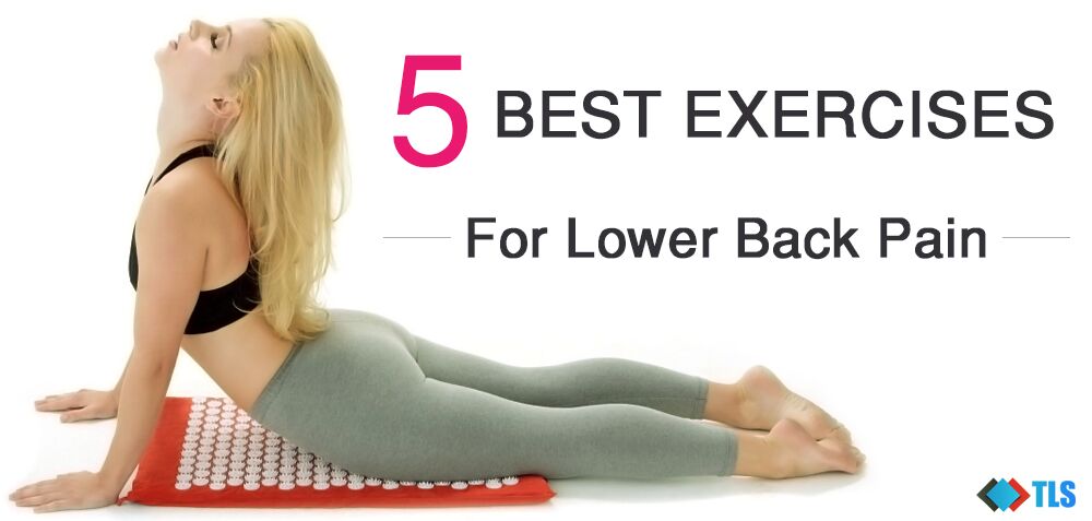 Best Exercises For Lower Back Pain