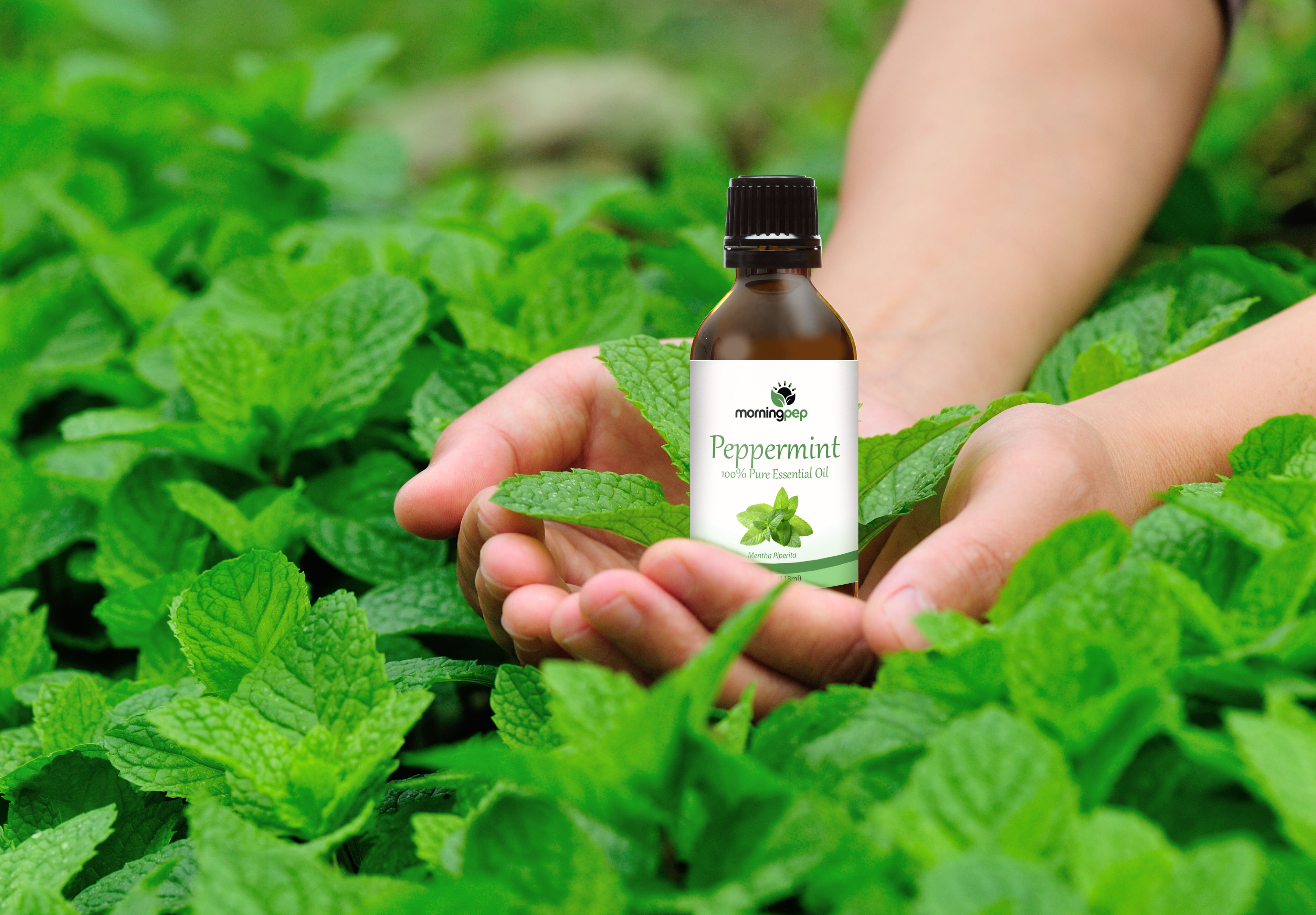 peppermint-oil-natural-cure-for-tension