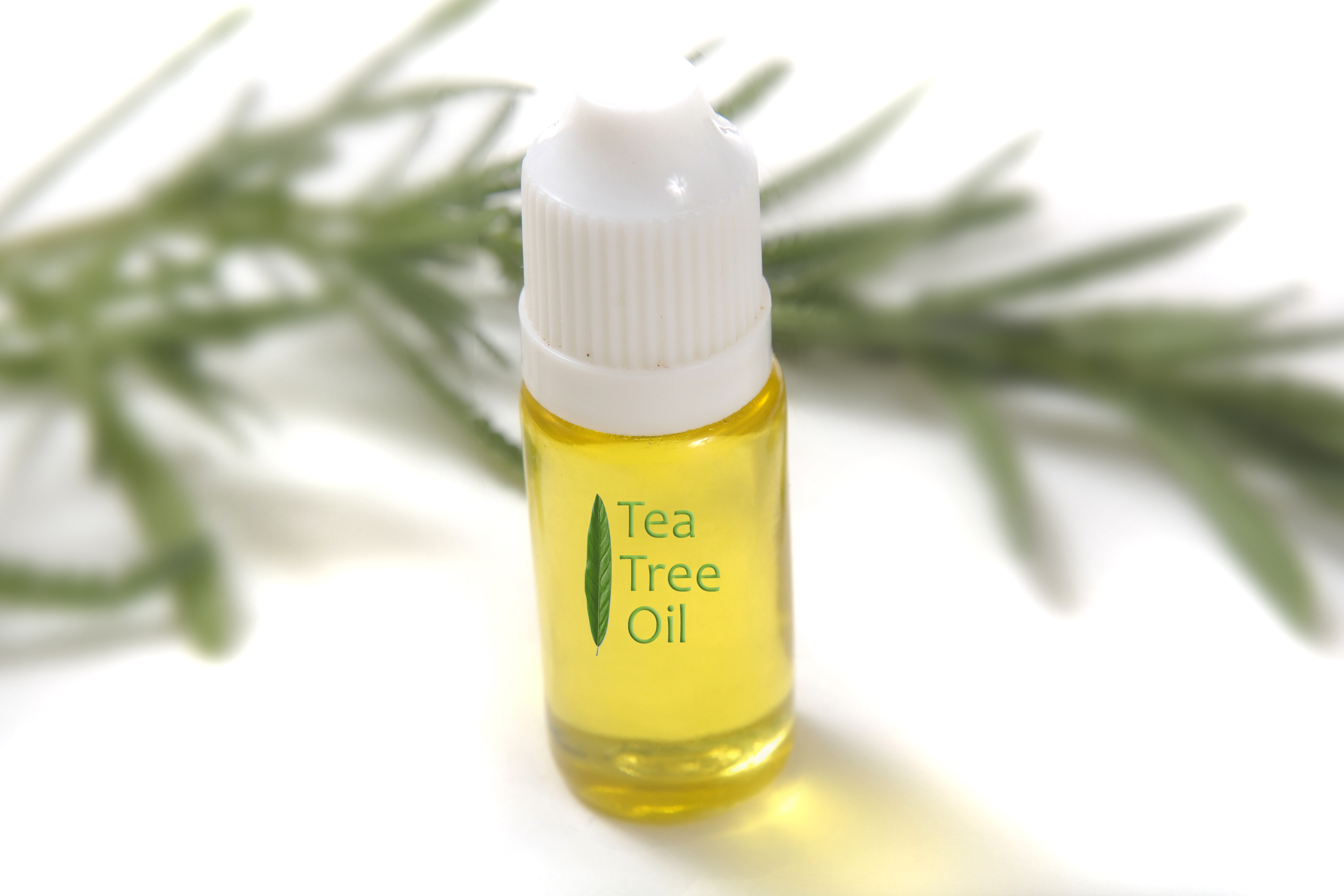 Tea tree oil - An natural dandruff shampoo