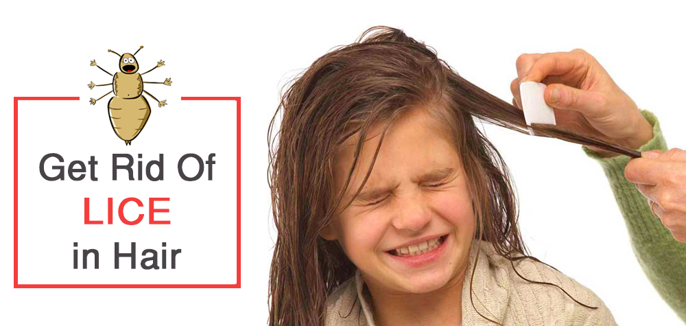 Get Rid Of Lice in Hair