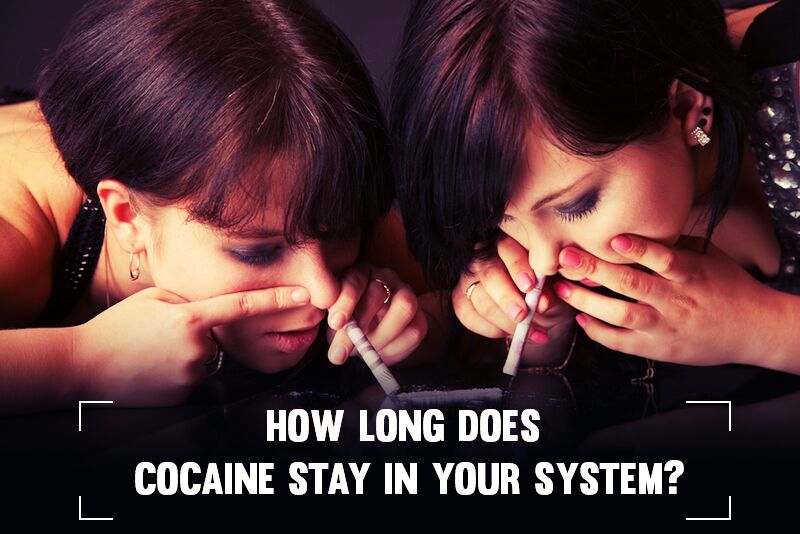 How Long Does Cocaine Stay In Your System? Know Some Secrets!