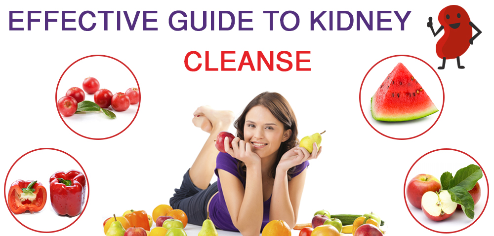 Effective Guide to Kidney Cleanse
