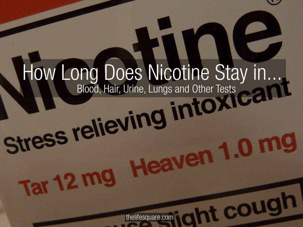 How long does nicotine stay in your system blood urine hair test