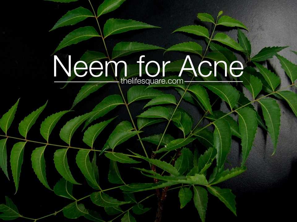 does neem for acne really works