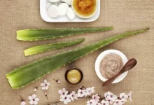 Aloe Vera For Acne Scars