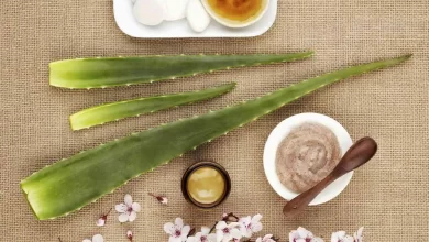 Aloe Vera For Acne Scars