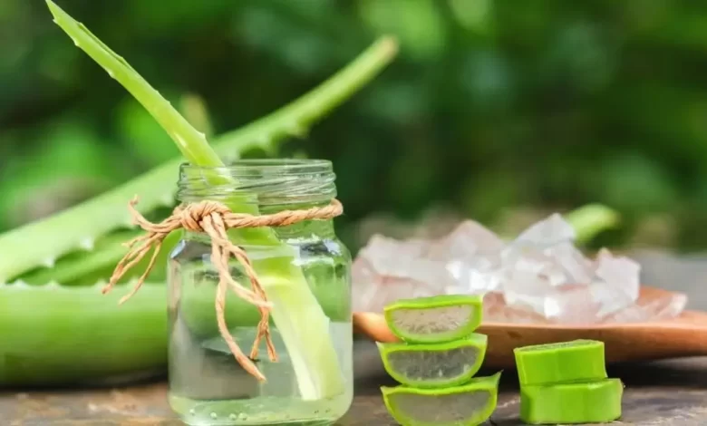 Aloe Vera For Weight Loss