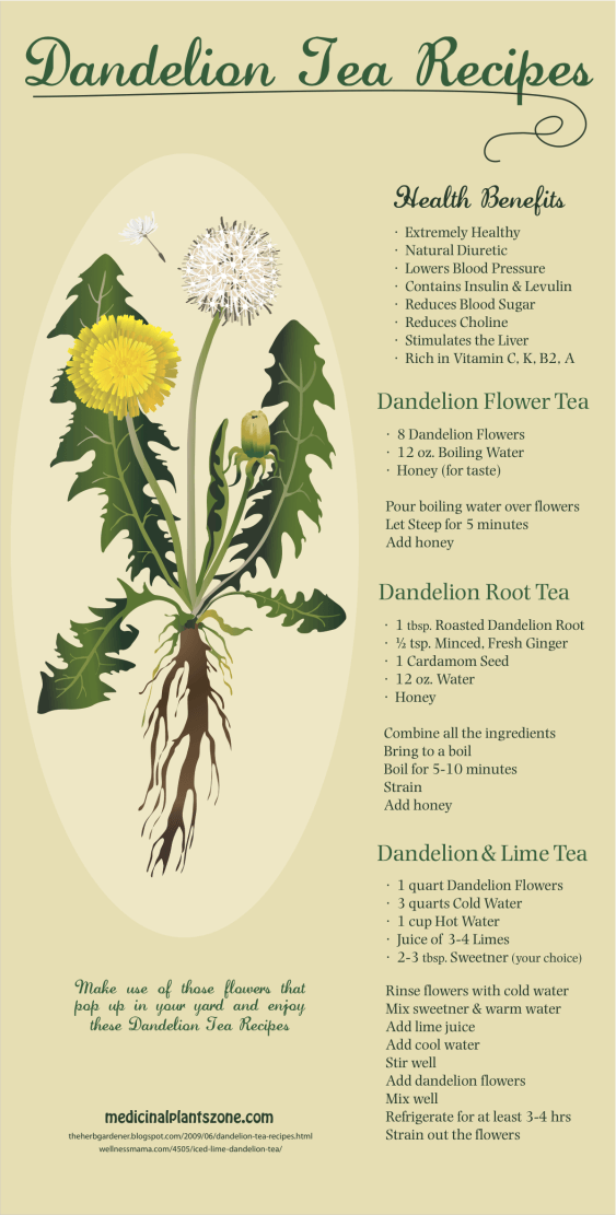 recipes for dandelion tea