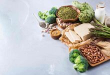 Meatless High Protein Foods